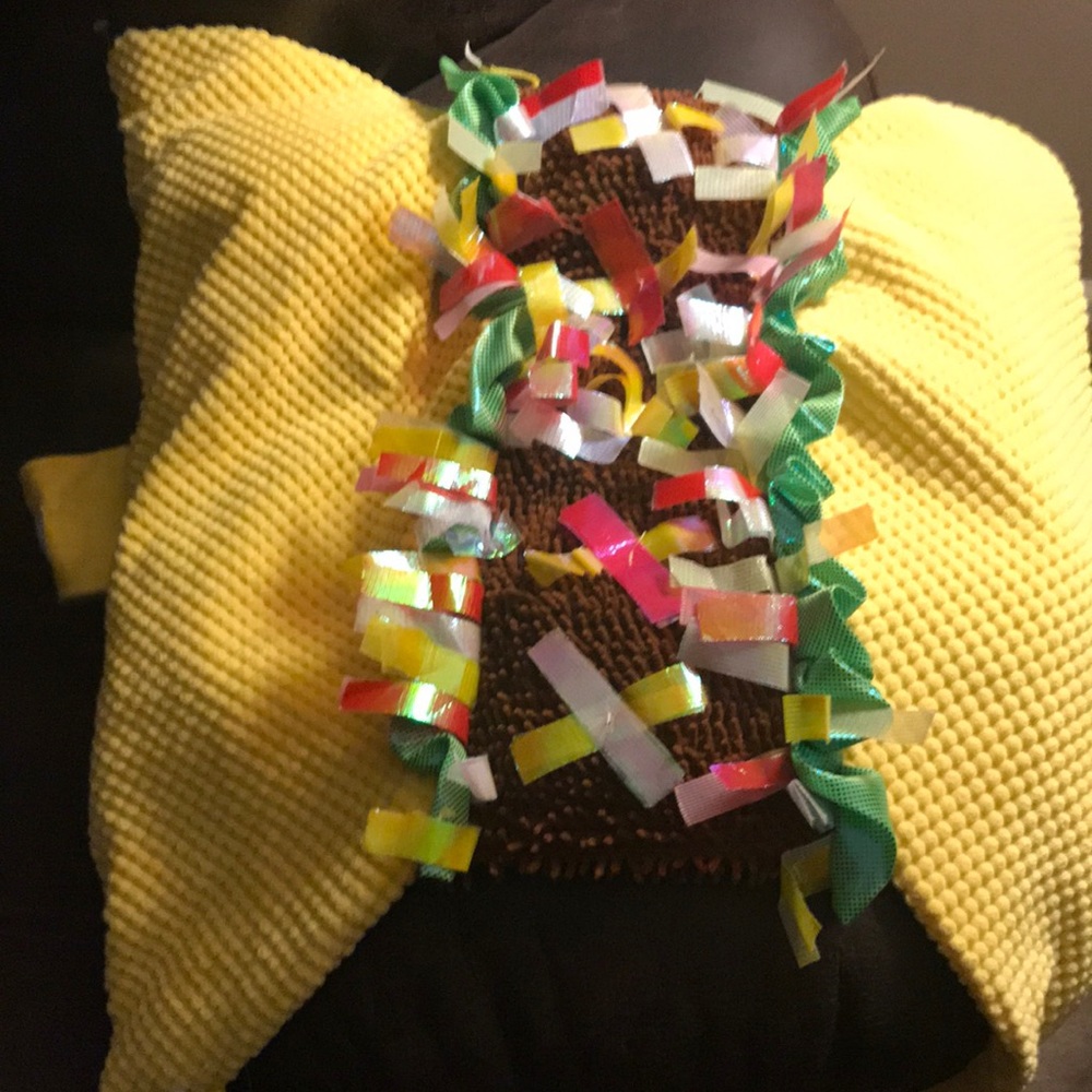 Taco Velcro dog Halloween costume
